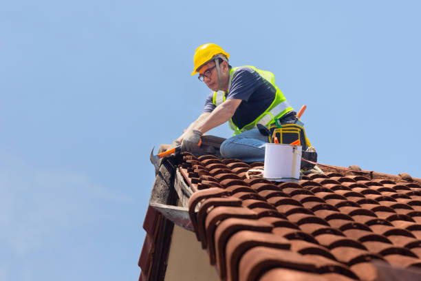 Best Roof Insulation Installation  in Lake Shore, UT